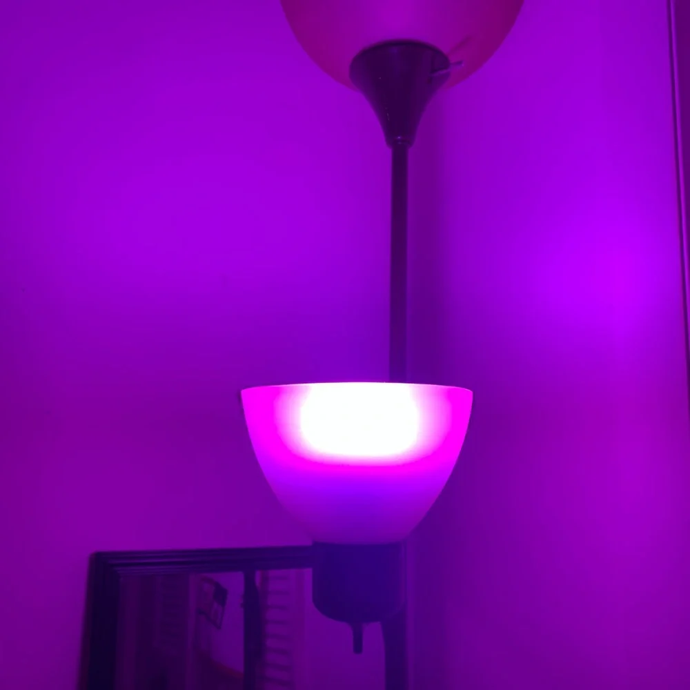 Set of (2) Purple LED light bulbs